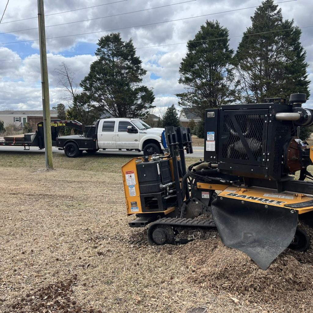 removing a stump with a stump grinder in greenville nc